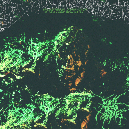 Some Dead Bodies : Putrid Decay